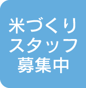 米づくりスタッフ募集中