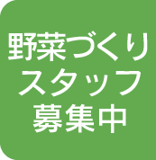 野菜づくりスタッフ募集中