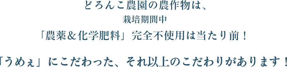 どろんこ農園の農作物は、栽培期間中「農薬＆化学肥料」完全不使用は当たり前！「うめぇ」にこだわった、それ以上のこだわりがあります！